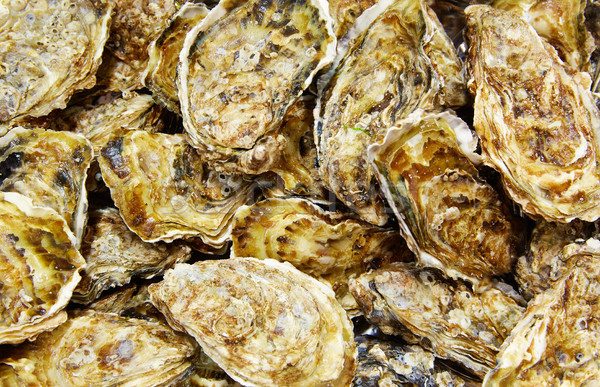 Oysters seafood texture pattern Stock photo © lunamarina