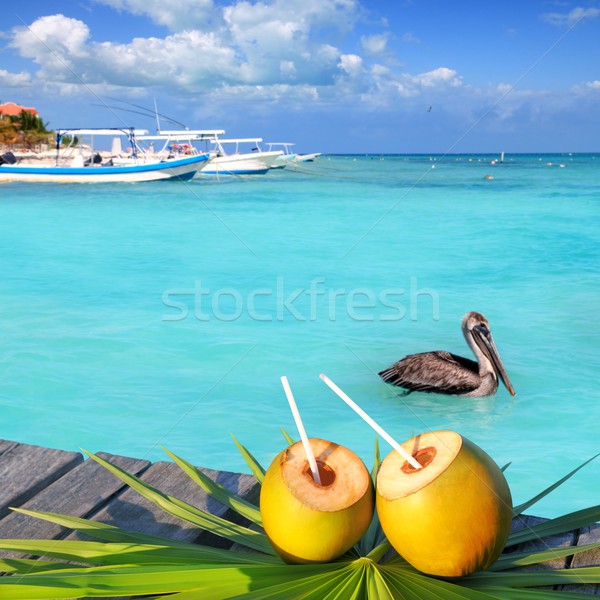 加勒比的 新鮮 椰子 雞尾酒 游泳的 綠松石 商業照片 © lunamarina