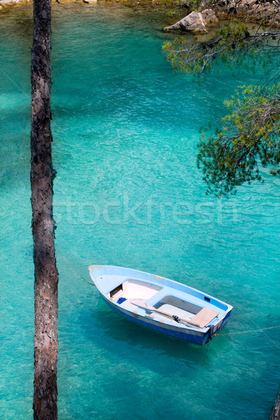 Calvia Cala Fornells turquoise mediterranean in Majorca Stock photo © lunamarina
