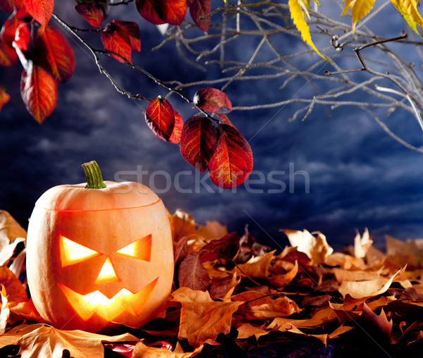 Halloween lantaarn pompoen donkere hemel wolken Stockfoto © lunamarina