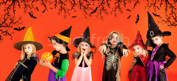 Stock fotó: Halloween · csoport · gyerekek · lányok · jelmezek · narancs