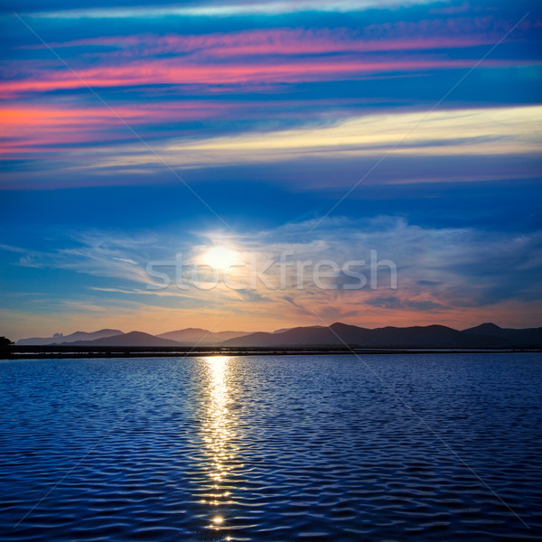 Ibiza ses Salines saltworks at sunset in Sant Josep Stock photo © lunamarina