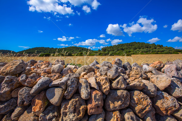 menorca Es Mitjorn Mediterranean masonry landscape Stock photo © lunamarina