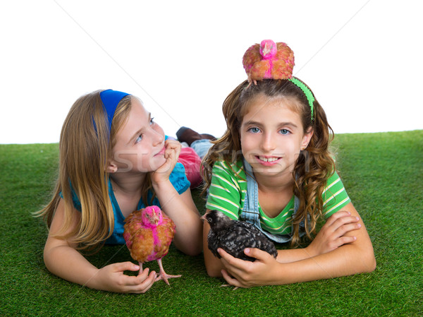 breeder hens kid sister farmer girls having fun with chicken chi Stock photo © lunamarina