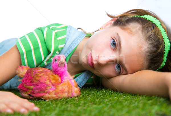 breeder hens kid girl rancher farmer with chicken chicks Stock photo © lunamarina