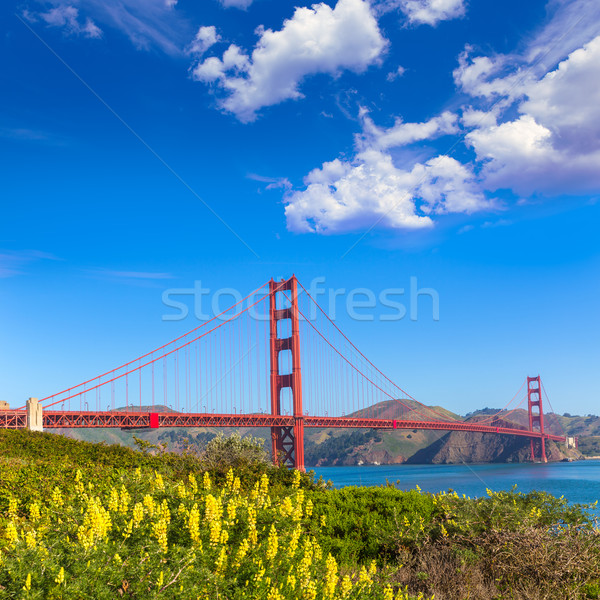 Golden Gate Köprüsü San Francisco Kaliforniya ABD gökyüzü şehir Stok fotoğraf © lunamarina