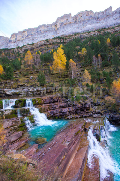 Gradas de Soaso in Arazas river Ordesa valley Pyrenees Huesca Sp Stock photo © lunamarina