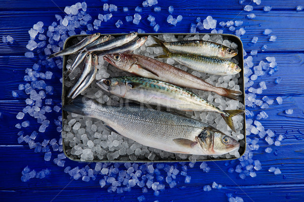 新鮮な 魚 サバ 氷 ストックフォト © lunamarina