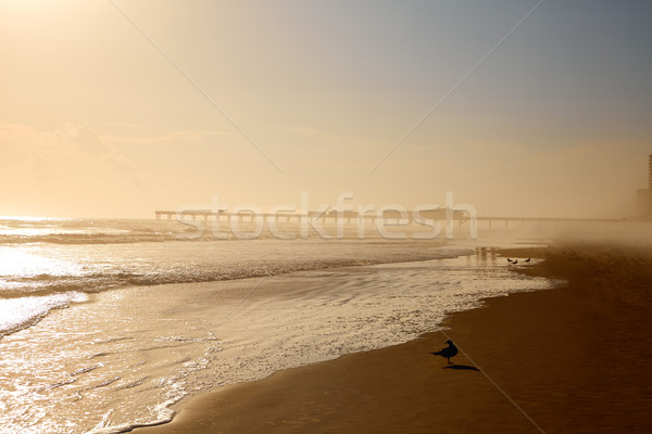 Praia Flórida pier EUA costa água Foto stock © lunamarina