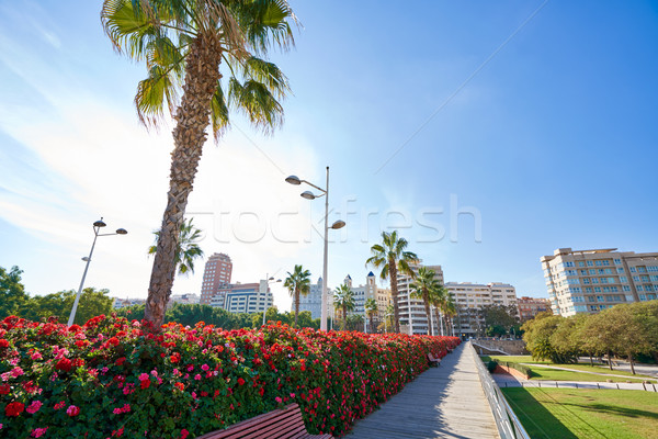 Valencia Puente de las Flores flowers bridge Stock photo © lunamarina