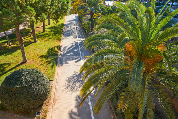 Valencia parc grădini vedere Spania Imagine de stoc © lunamarina