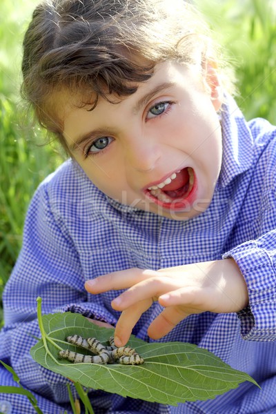 little girl palying with silkworm in hands Stock photo © lunamarina