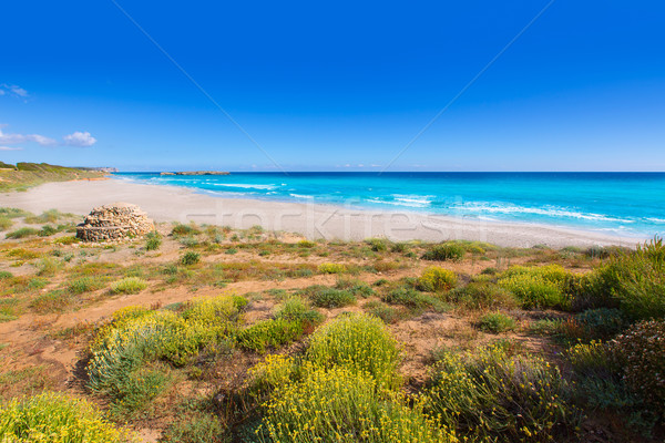 Menorca Platja de Binigaus beach Mediterranean paradise Stock photo © lunamarina