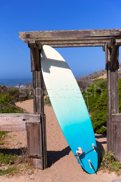 California surfboard on beach in Cabrillo Highway Route 1 Stock photo © lunamarina