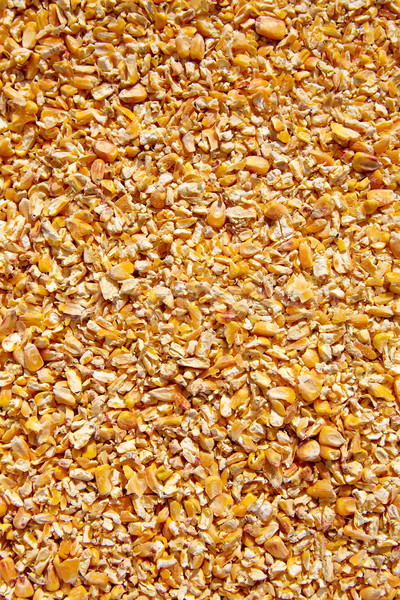 Corn seeds low milled seeds texture background Stock photo © lunamarina