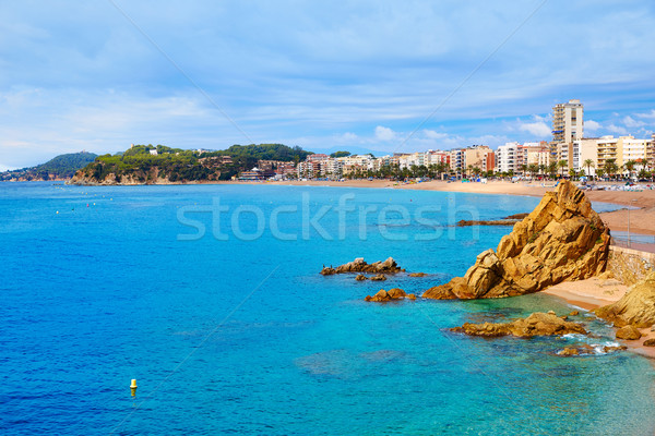 Stockfoto: Strand · natuur · landschap · achtergrond · zomer · Blauw