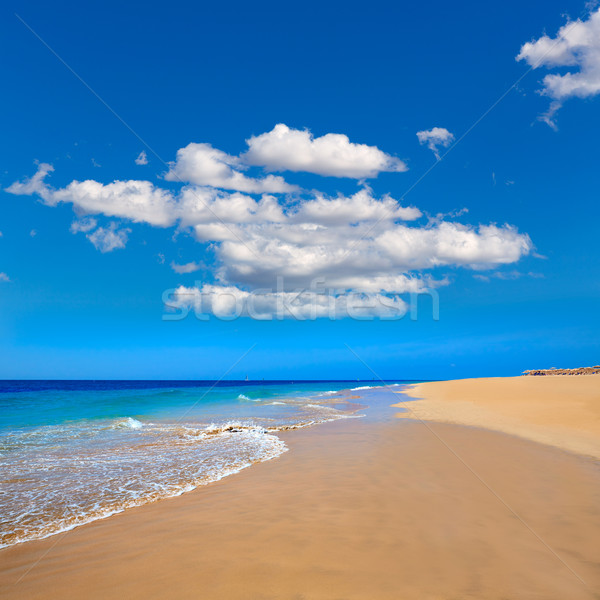 Morro Jable Matorral beach Jandia in Fuerteventura Stock photo © lunamarina
