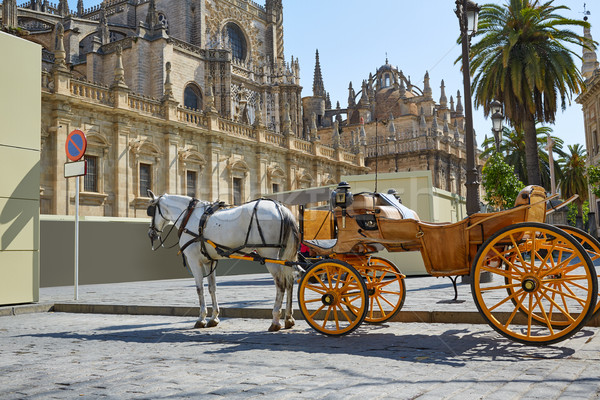 Seville Cathedral with horse carriage Sevilla Stock photo © lunamarina