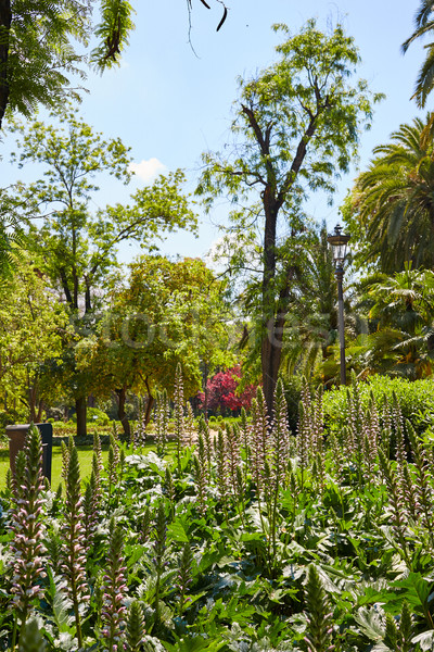 Parc jardins Espagne andalousie ville nature [[stock_photo]] © lunamarina