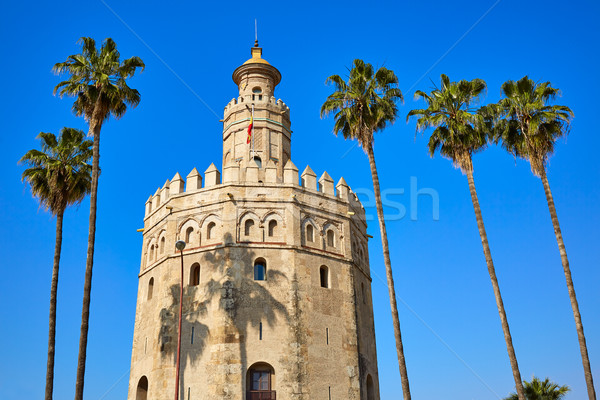 Imagine de stoc: Turn · Spania · constructii · oraş · piatră · arhitectură
