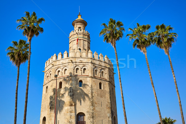 Seville Torre del Oro tower in Sevilla Spain Stock photo © lunamarina