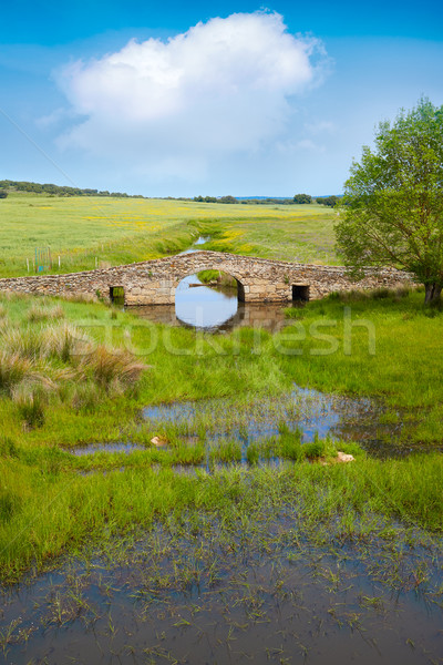 Bridge over Salor river in Via de la Plata way Stock photo © lunamarina