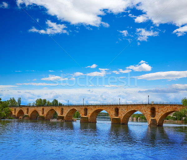 Zamora Puente de Piedra stone bridge on Duero Stock photo © lunamarina