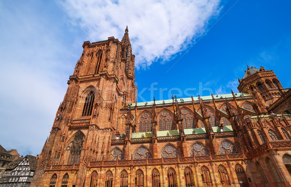 Notre Dame Cathedral in Strasbourg France Stock photo © lunamarina