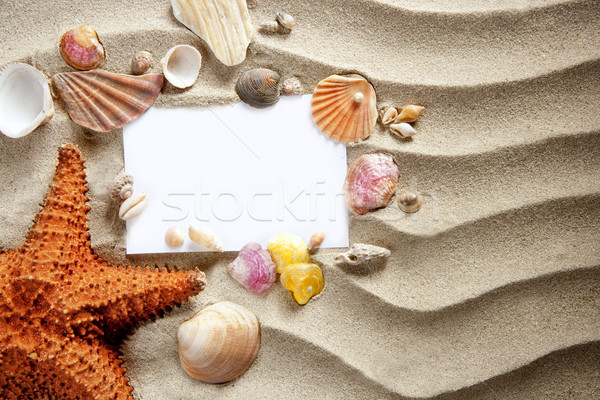 [[stock_photo]]: Espace · de · copie · été · starfish · sable · obus