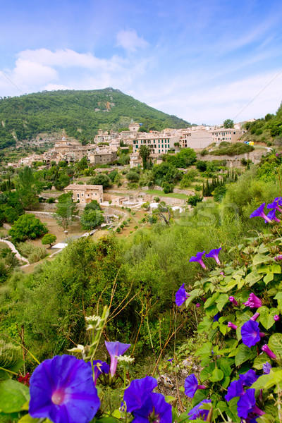 Valldemossa from Majorca view in Tramontana Stock photo © lunamarina