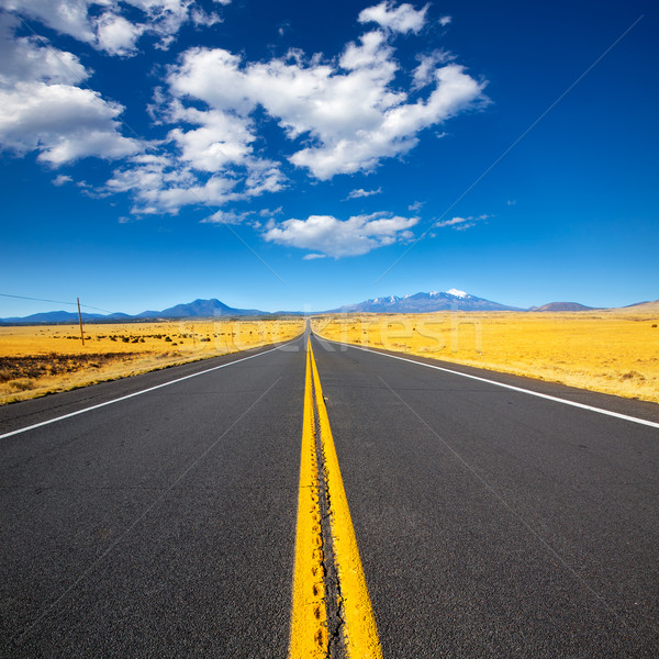 Arizona Highway 89 US with view of snow Humphreys peak Stock photo © lunamarina