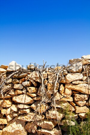 Stone figures on beach shore of Illetes beach in Formentera Stock photo © lunamarina