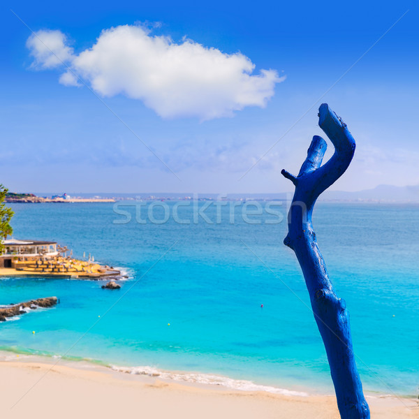 Majorca Playa de Illetas beach Mallorca Calvia Stock photo © lunamarina