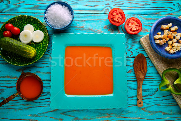 Gazpacho andaluz tomato soup and vegetables Stock photo © lunamarina