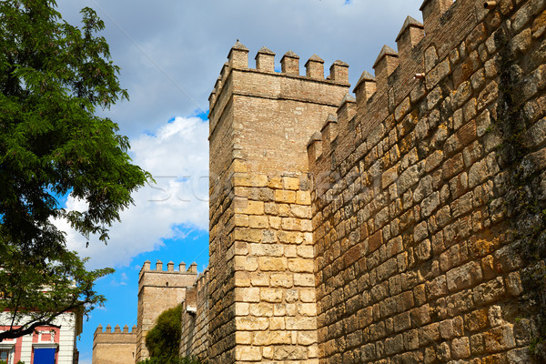 Seville Real Alcazar fortress Sevilla Spain Stock photo © lunamarina