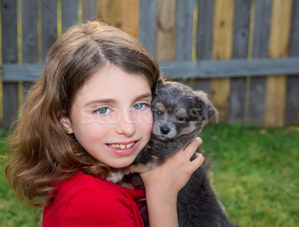 Beautiful kid girl portrait with puppy chihuahua doggy Stock photo © lunamarina