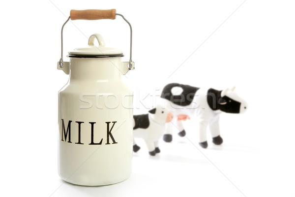 Milk urn white pot traditional farmer style Stock photo © lunamarina