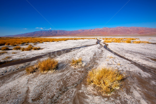 Mort vallée parc Californie sel sol [[stock_photo]] © lunamarina