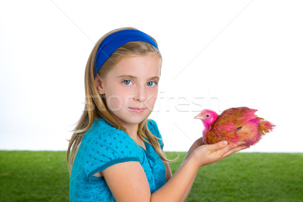 breeder hens kid girl rancher farmer with chicken chicks Stock photo © lunamarina