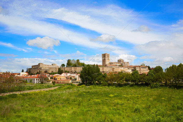 Zamora spring field skyline Spain Stock photo © lunamarina