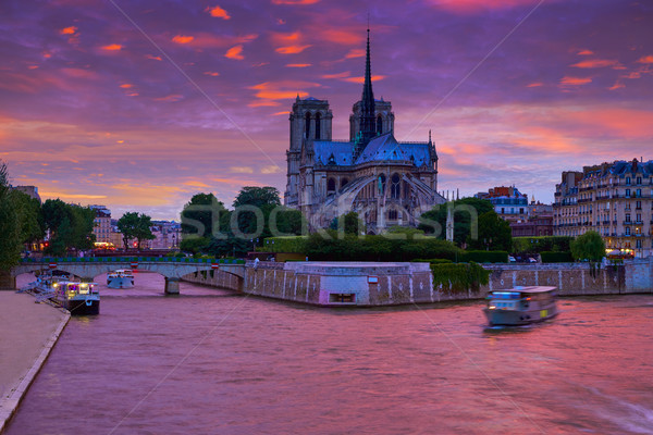 Katedra Notre Dame Paryż wygaśnięcia rzeki Francja niebo Zdjęcia stock © lunamarina