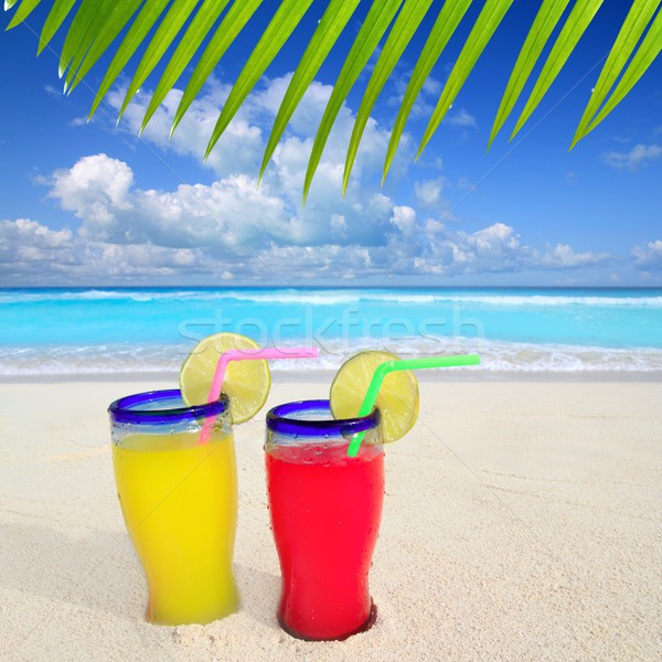 Stock photo: beach tropical cocktails palm tree leafl turquoise beach