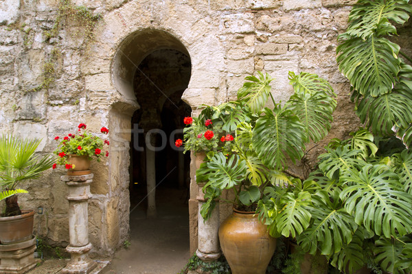 Arab baths in Majorca old city of Barrio Calatrava Los Patios Stock photo © lunamarina