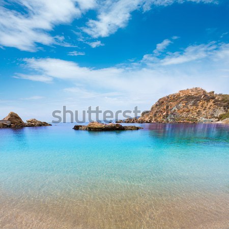 Formentera Raco des Forat with round tower Stock photo © lunamarina