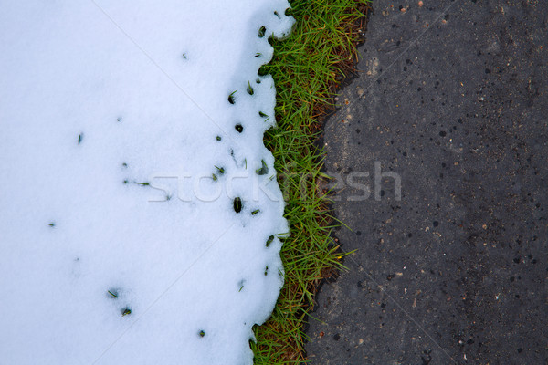 Neige route gazon herbe ligne texture [[stock_photo]] © lunamarina