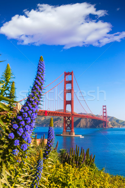 Golden Gate Bridge San Francisco viola fiori California cielo Foto d'archivio © lunamarina