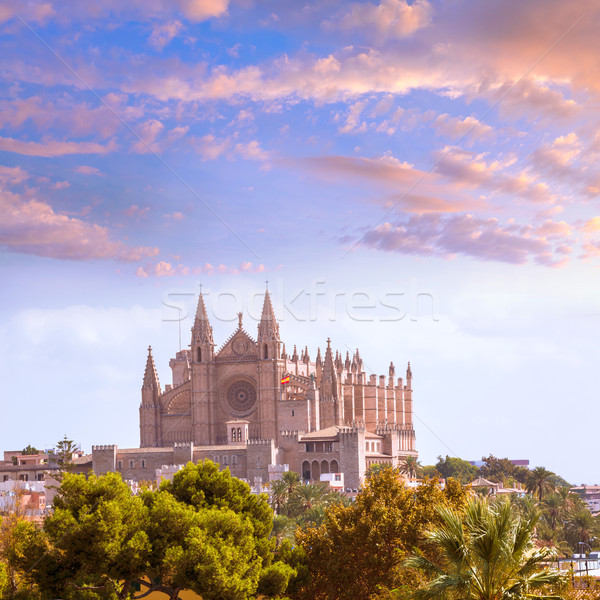Foto stock: Mallorca · catedral · la · seo · primavera · edifício