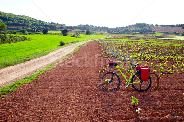 La Rioja vineyard fields in The Way of Saint James Stock photo © lunamarina