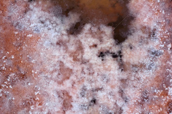 Ses Salines Formentera saltworks salt texture Stock photo © lunamarina