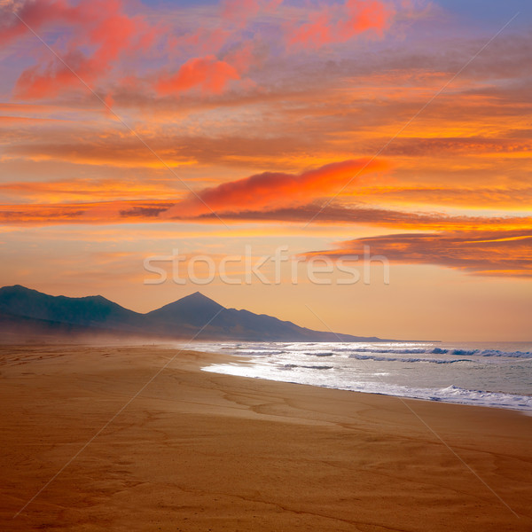Tengerpart Kanári-szigetek Spanyolország égbolt nap tájkép Stock fotó © lunamarina